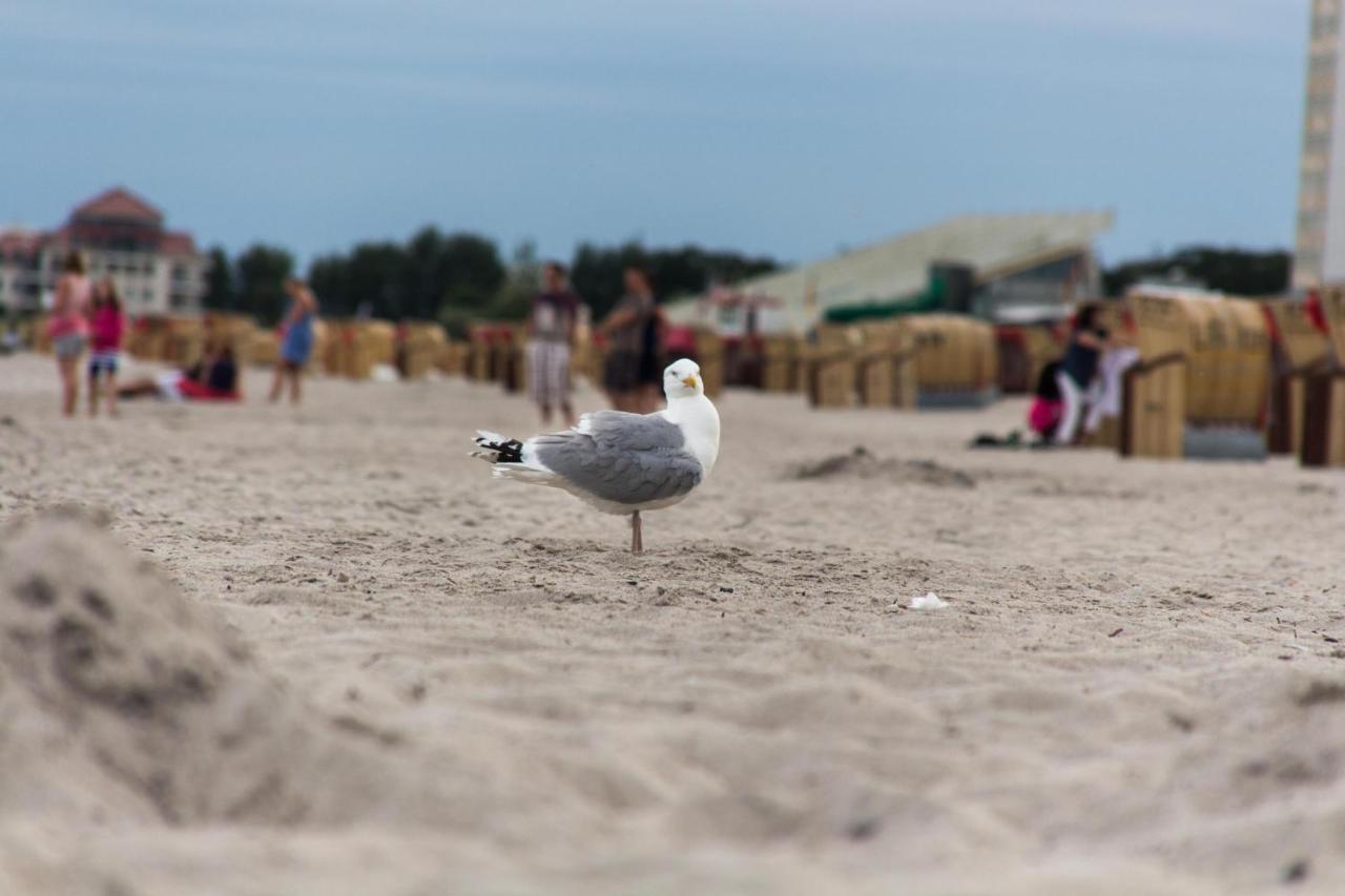 Ferienwohnungen-Neue-Tiefe-Wohnung-Kleiderbuegel Neue Tiefe Fehmarn Exteriör bild